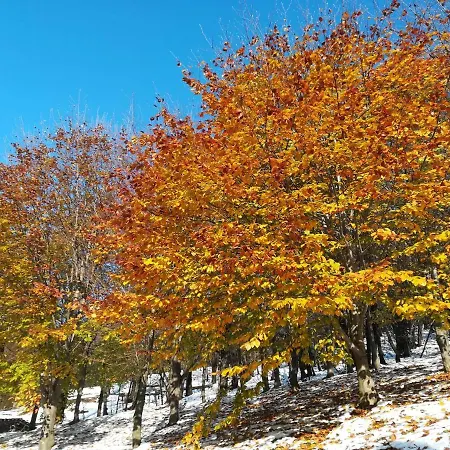 Lupus In Fabula Апартаменты Peveragno